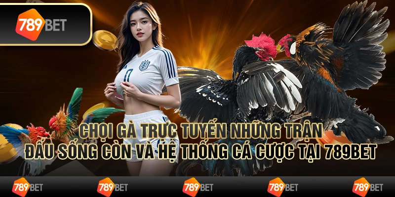 Chọi Gà Trực Tuyến Những Trận Đấu Sống Còn Và Hệ Thống Cá Cược Tại 789bet